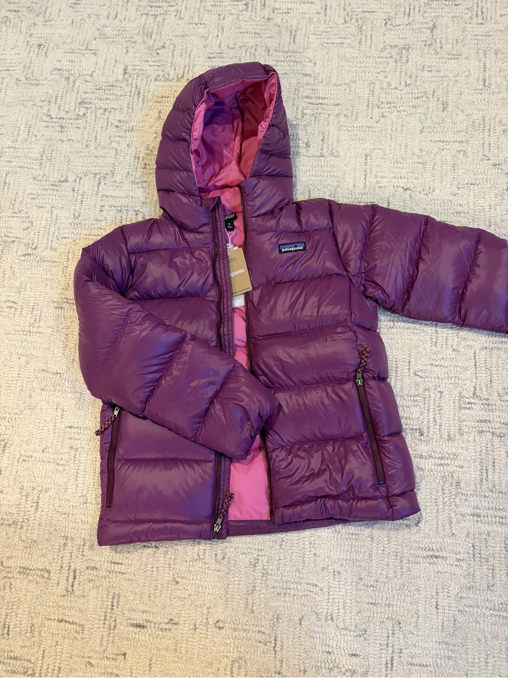 Kids Patagonia Hi-Loft Down Sweater Jacket w Hood NWT